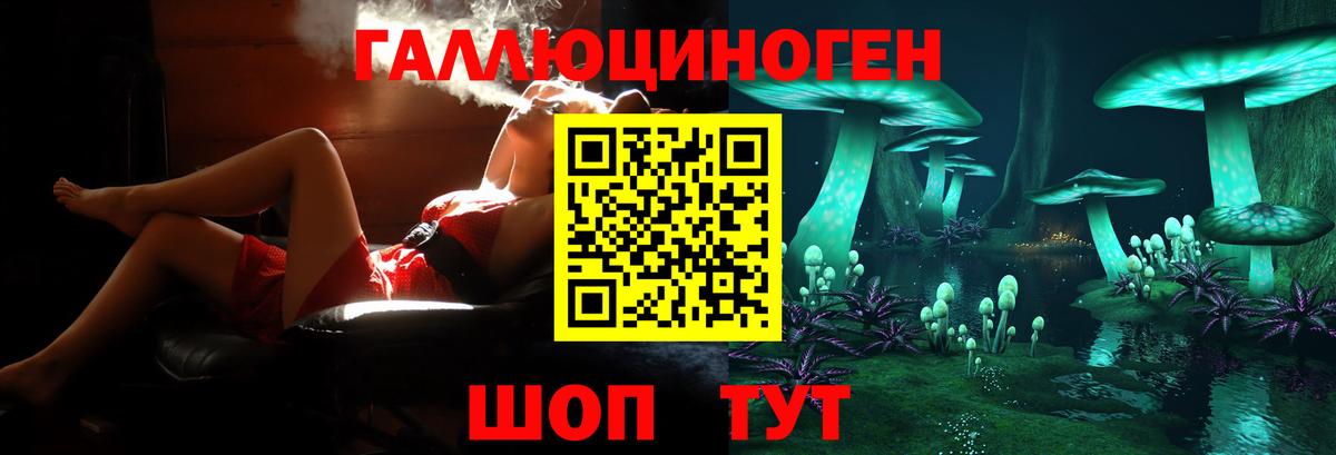 Галлюциногенные грибы Psilocybine cubensis  Вход с VPN  Егорьевск  Галлюциногенные грибы Cubensis 