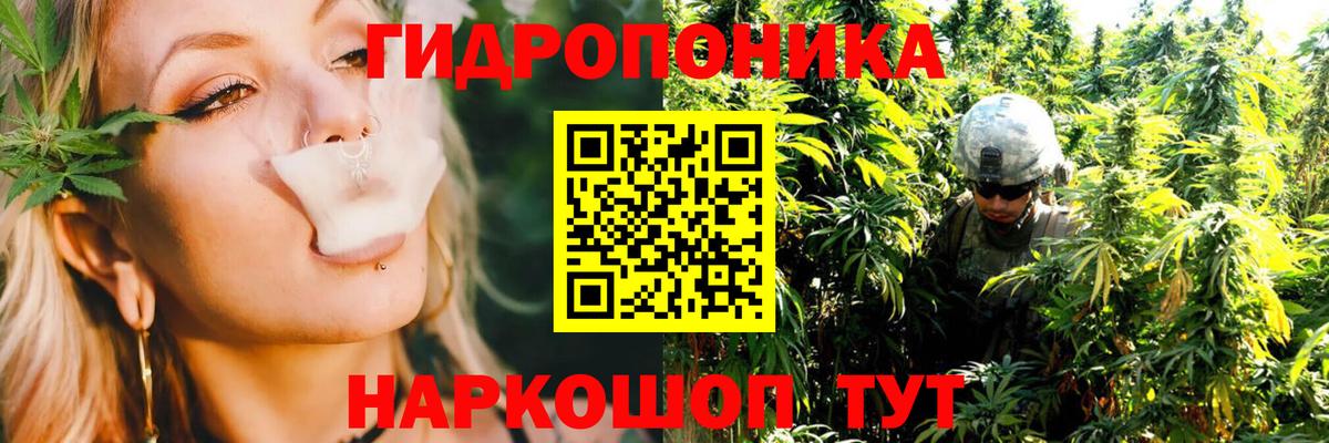Конопля конопля  МАРИХУАНА ГИДРОПОН  Егорьевск  Бошки Шишки Bruce Banner  Вход с VPN 